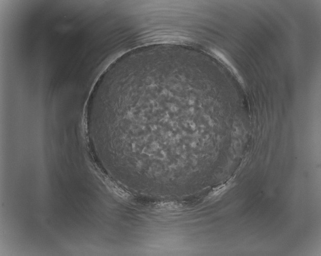 X0000071760883200607071233