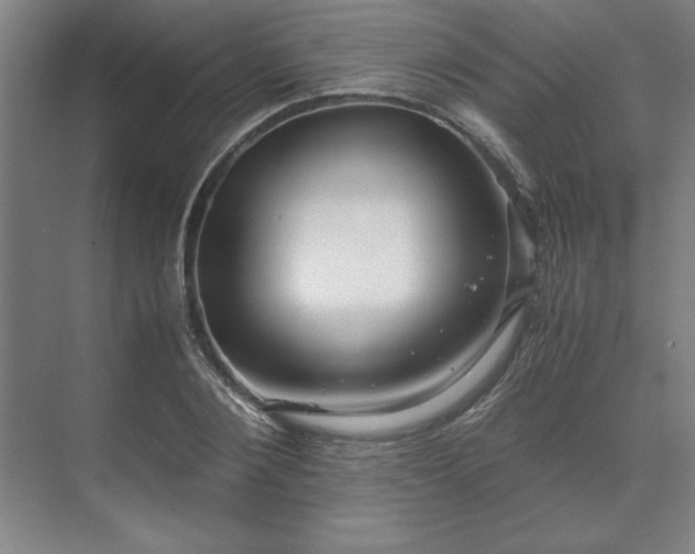 X0000071760884200607071233