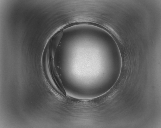 X0000071760885200607071233