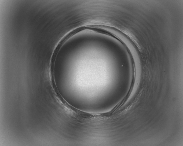 X0000071760888200607071233