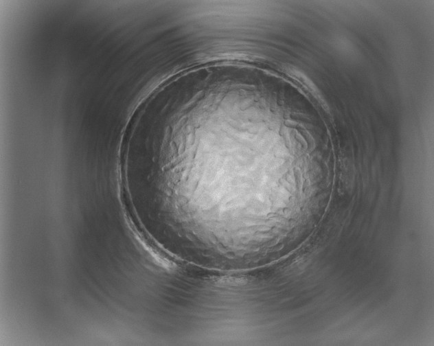 X0000071760890200607071233