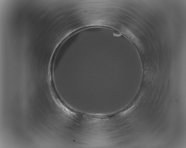 X0000071760892200607071233