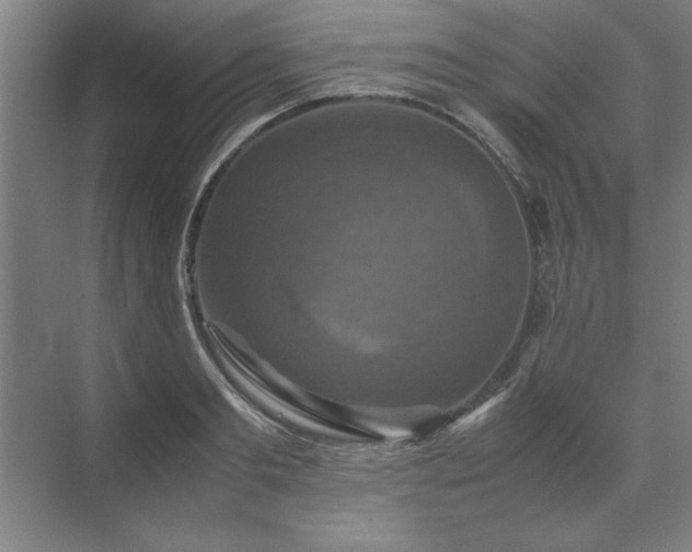 X0000071760893200607071233