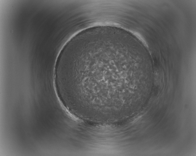 X0000071760895200607071233