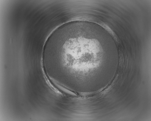 X0000071760896200607071233