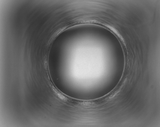 X0000071760897200607071233