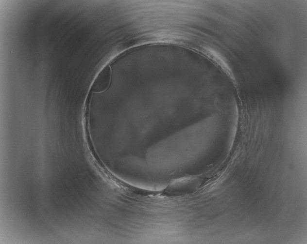 X0000071760899200607071233