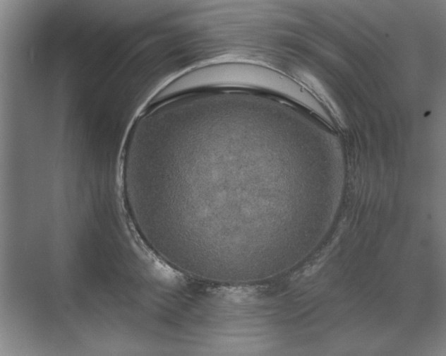 X0000071760900200607071233