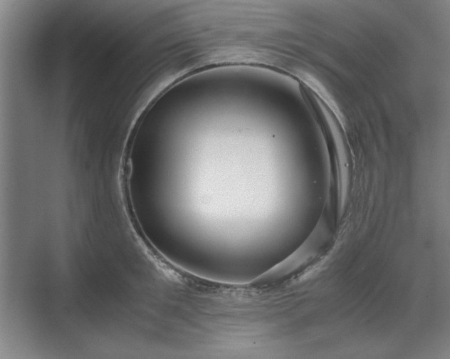 X0000071760901200607071233