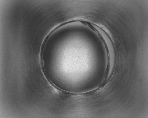 X0000071760902200607071233