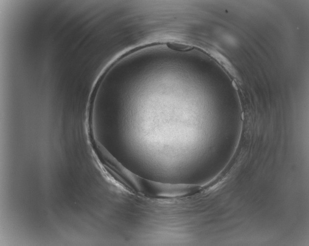 X0000071760904200607071233