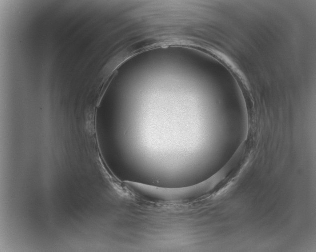 X0000071760905200607071233