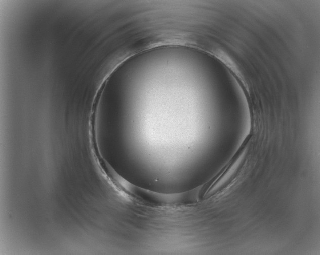 X0000071760906200607071233