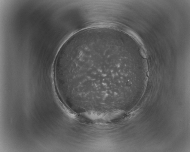 X0000071760907200607071233