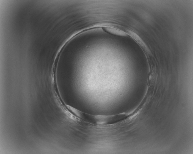 X0000071760908200607071233