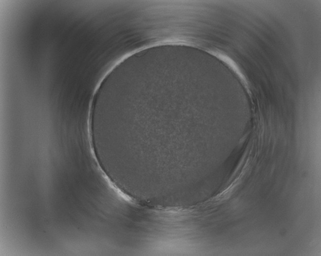 X0000071760910200607071232