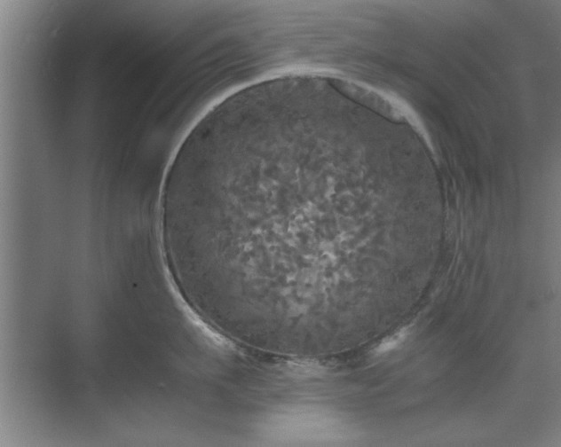 X0000071760911200607071232