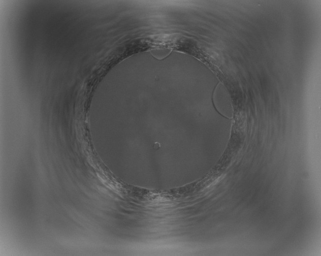 X0000071760913200607071232