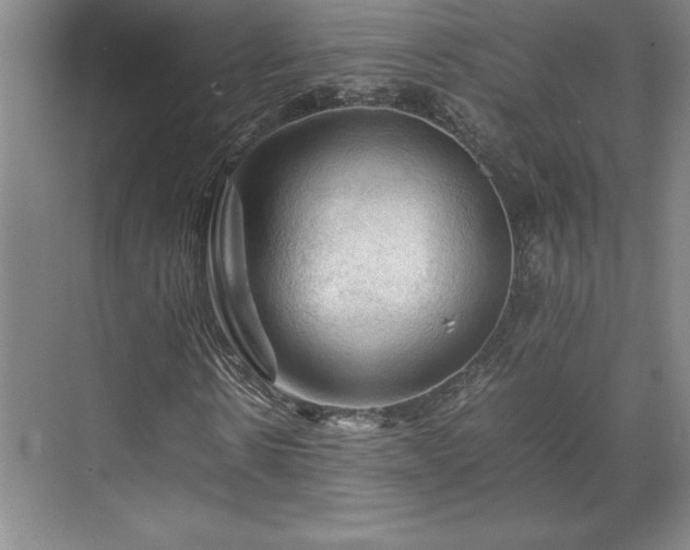 X0000071760914200607071232