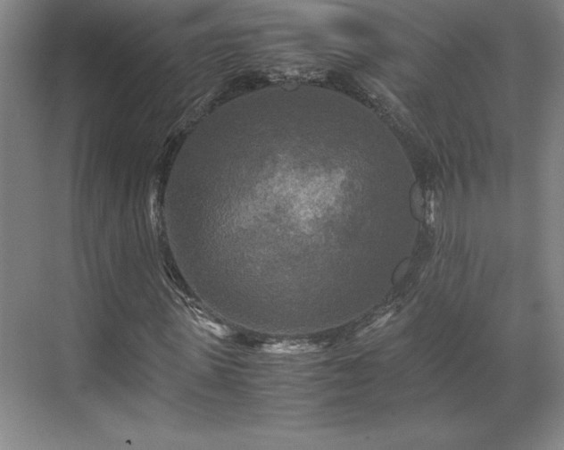 X0000071760915200607071232