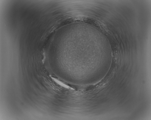 X0000071760916200607071232