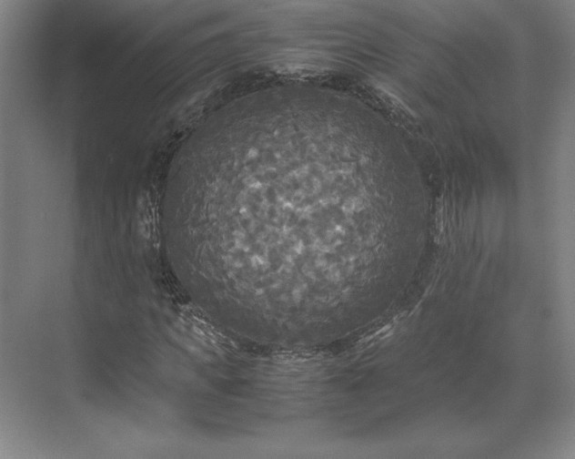 X0000071760917200607071232