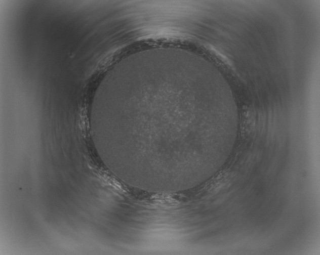 X0000071760918200607071232