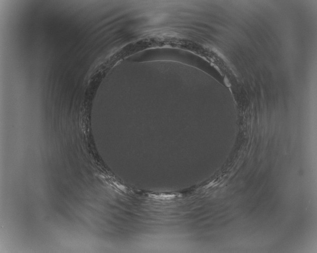 X0000071760919200607071232