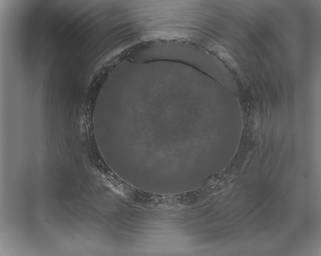 X0000071760920200607071232