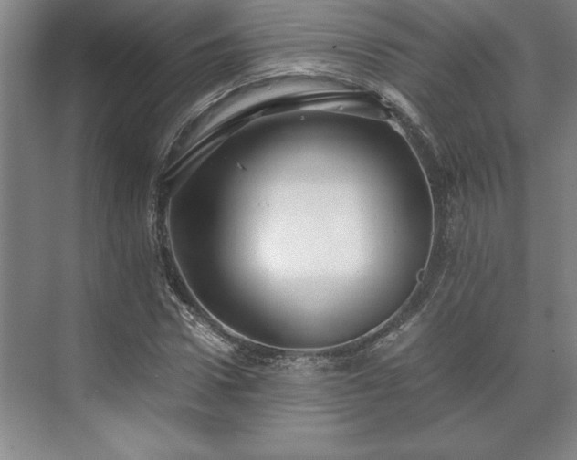 X0000071760922200607071232