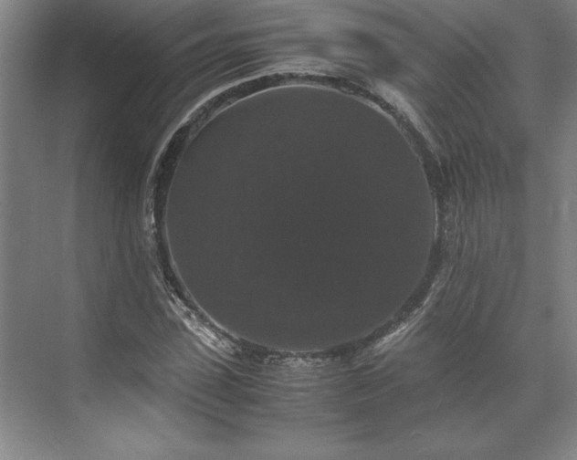 X0000071760923200607071232