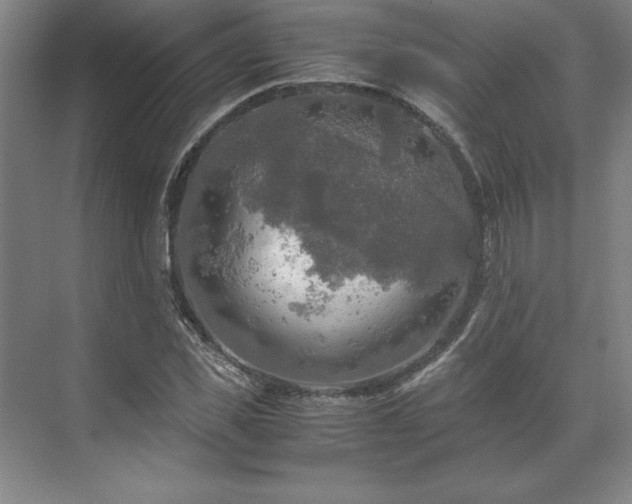 X0000071760925200607071232