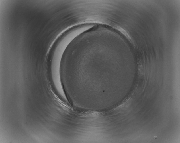 X0000071760926200607071232