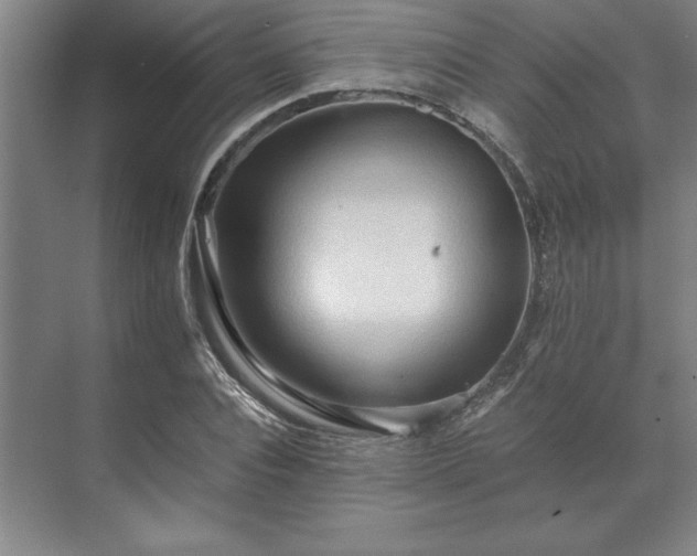 X0000071760928200607071232