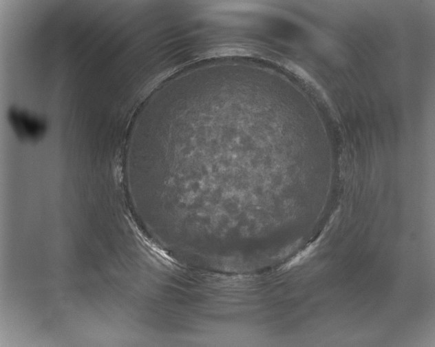 X0000071760929200607071232