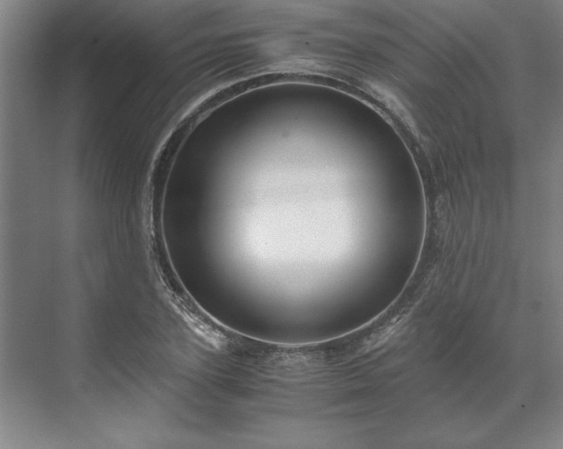 X0000071760931200607071232