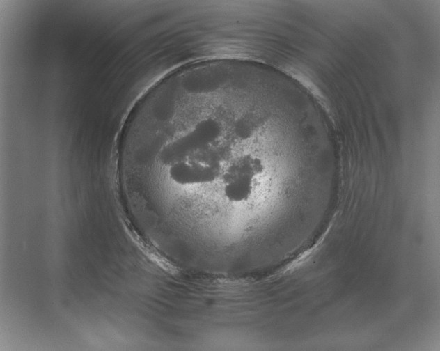 X0000071760933200607071232