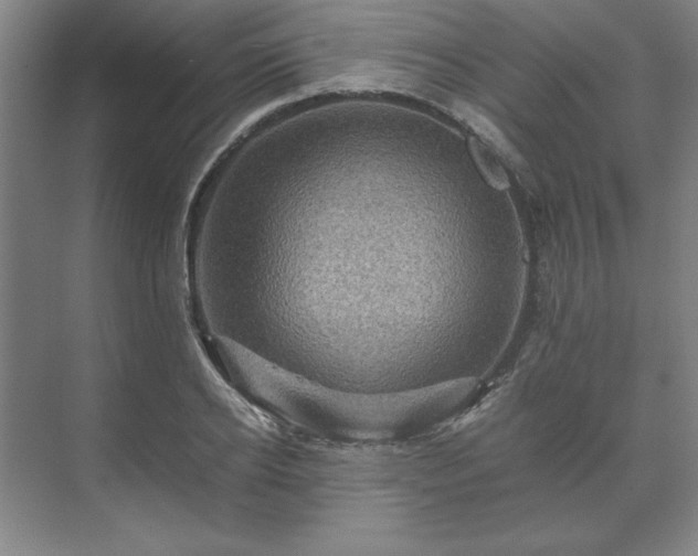 X0000071760934200607071232