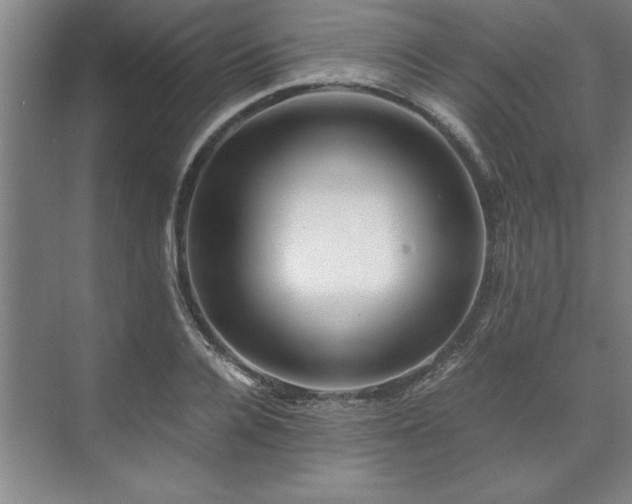 X0000071760936200607071232