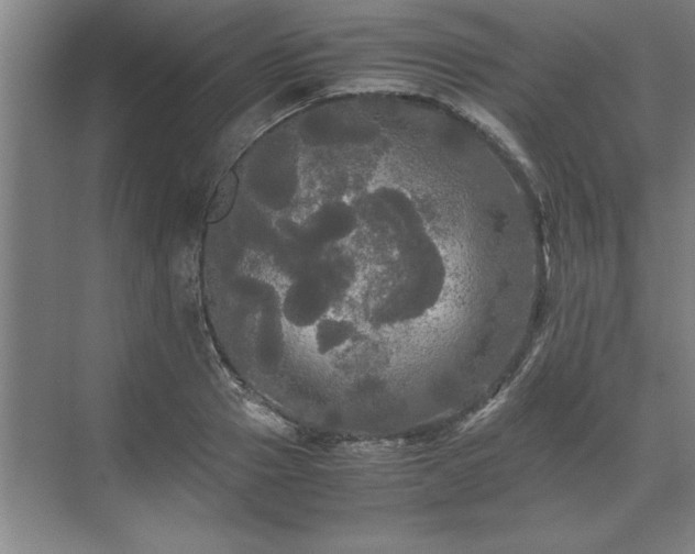 X0000071760937200607071232