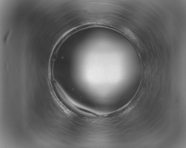 X0000071760940200607071232