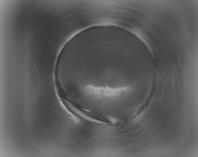 X0000071760943200607071232