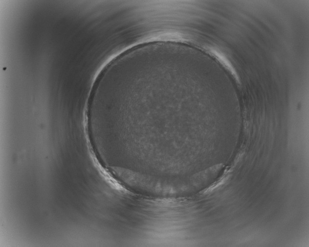 X0000071760944200607071232