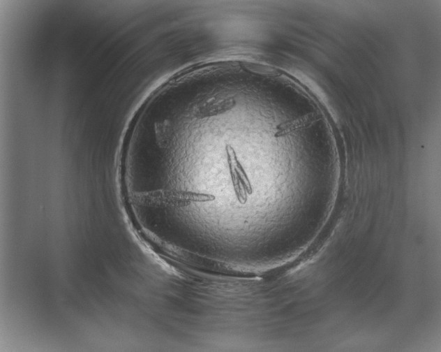 X0000071760949200607071232