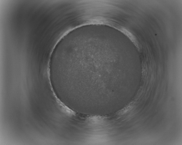 X0000071760950200607071232