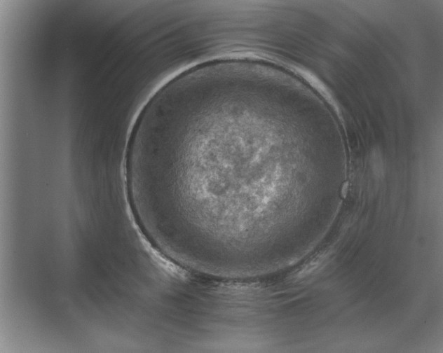 X0000071760951200607071232