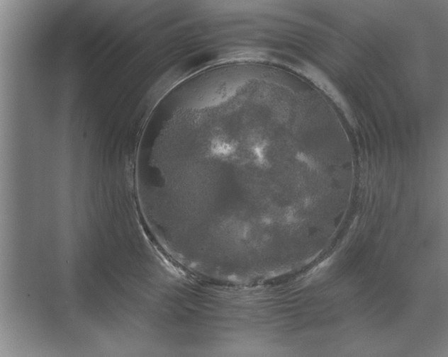 X0000071760953200607071232