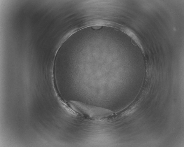 X0000071760954200607071232