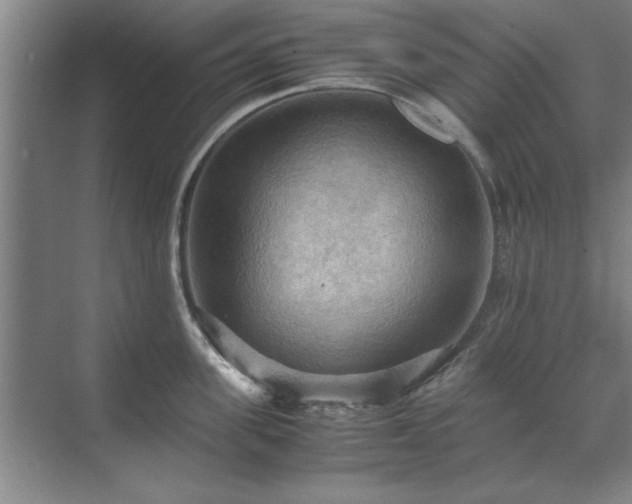 X0000071760955200607071232