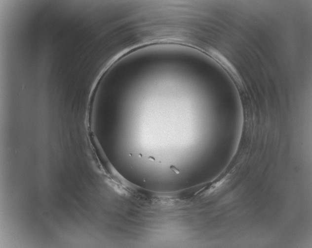 X0000071760956200607071232